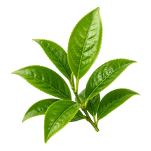 L-Theanine